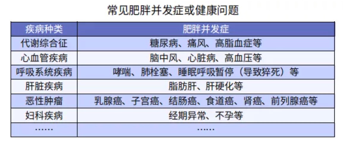 太胖被拒保怎么辦？