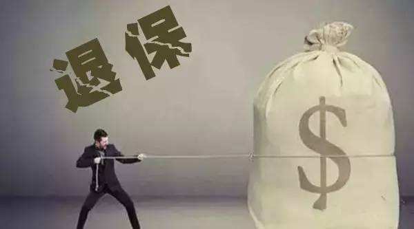 買(mǎi)的保險不想續保了能退嗎？