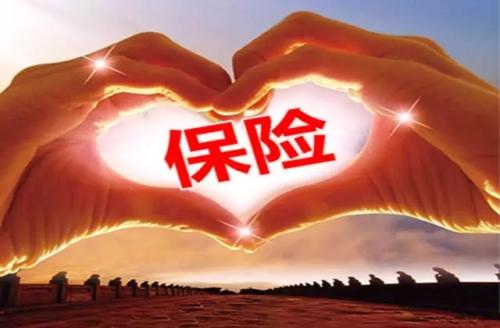 人壽重大疾病保險，哪種比較好？