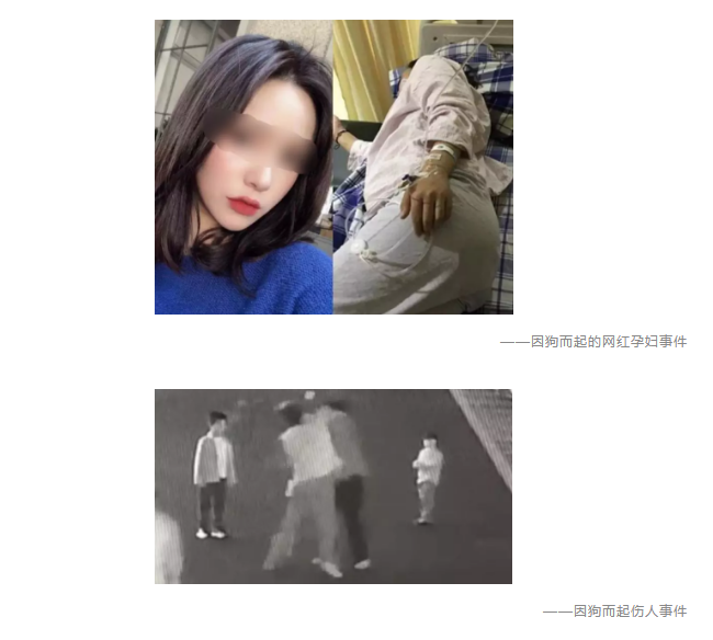 為什么不買(mǎi)保險就不讓養狗？