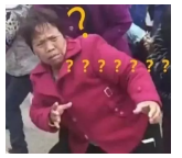 為什么不買(mǎi)保險就不讓養狗？