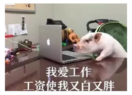 發(fā)生車(chē)禍如何快速理賠？
