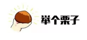 什么是年金轉換？