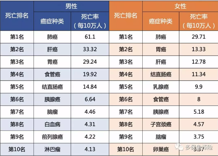 女性高發(fā)重疾怎么選？
