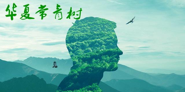 華夏常青樹(shù)多倍版和華夏福哪個(gè)好 包含自然身故嗎？